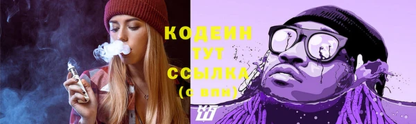 гашик Бородино