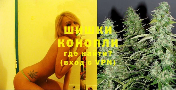 хмурый Богородск